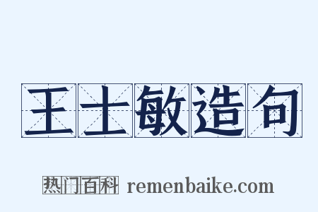 王士敏造句是什么意思的图片